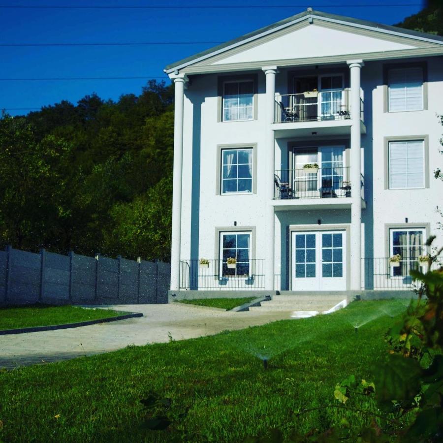 Green Hill Villa Călimăneşti المظهر الخارجي الصورة
