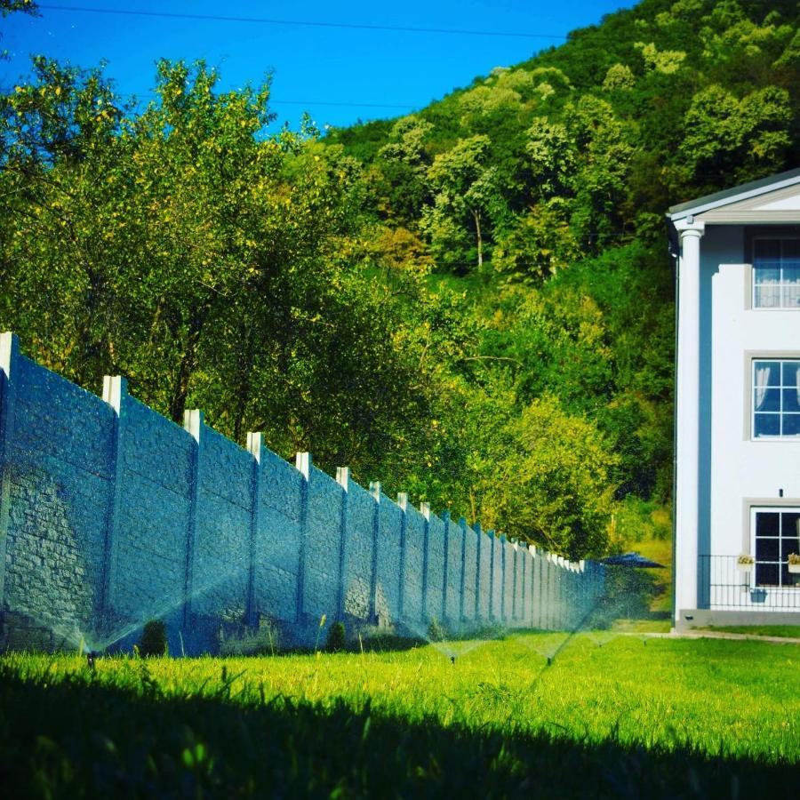 Green Hill Villa Călimăneşti المظهر الخارجي الصورة