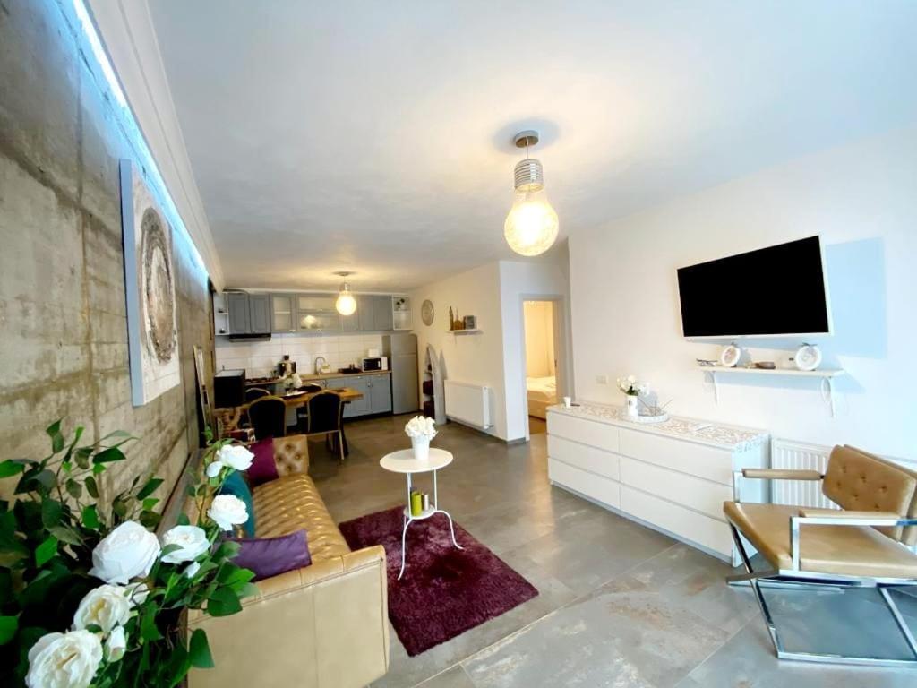 Green Hill Villa Călimăneşti المظهر الخارجي الصورة