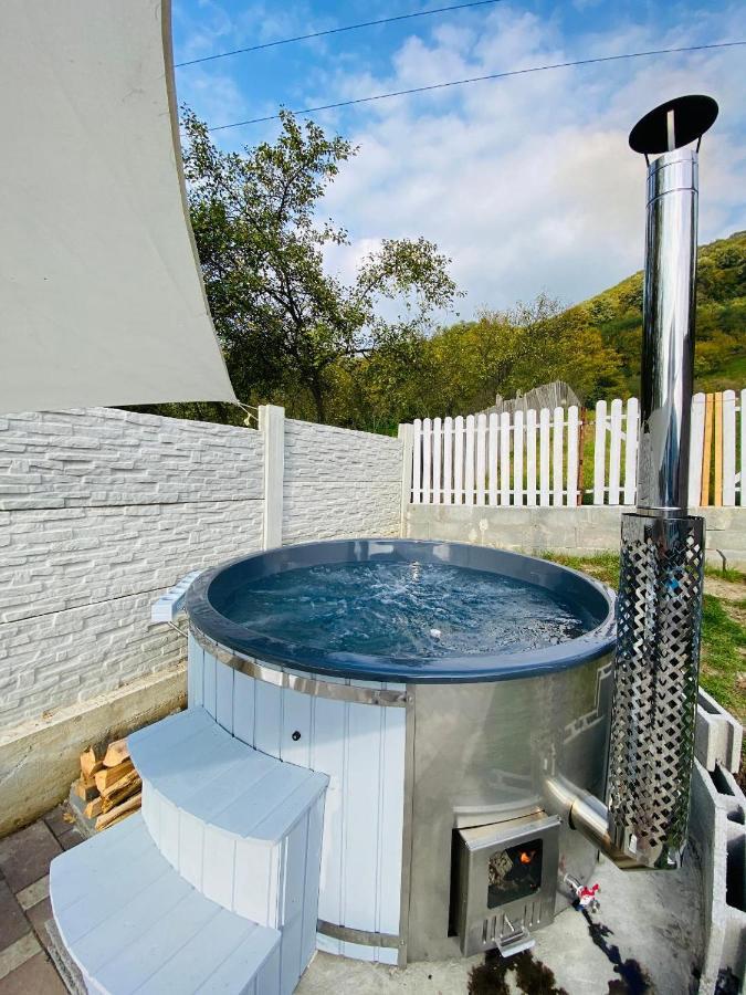 Green Hill Villa Călimăneşti المظهر الخارجي الصورة