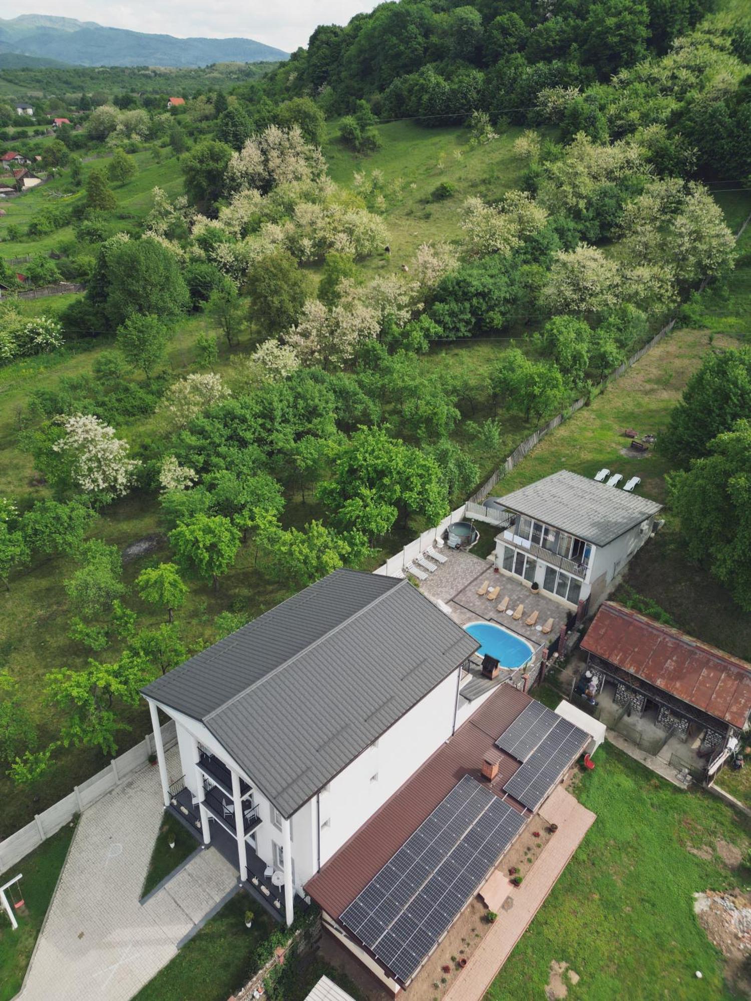 Green Hill Villa Călimăneşti المظهر الخارجي الصورة