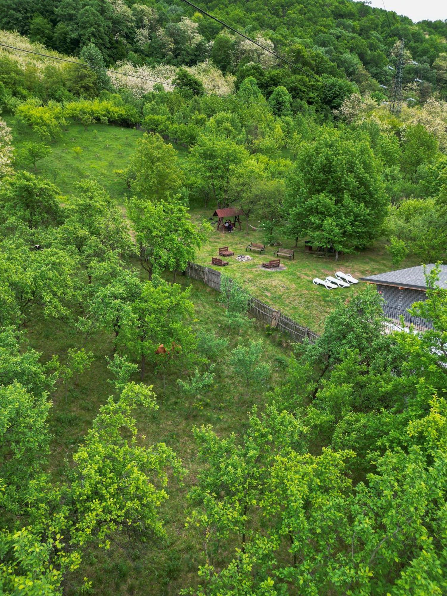 Green Hill Villa Călimăneşti المظهر الخارجي الصورة