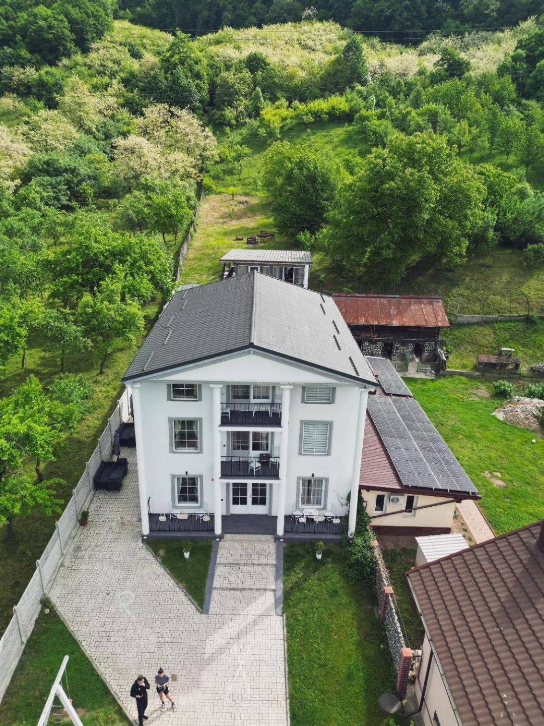 Green Hill Villa Călimăneşti المظهر الخارجي الصورة